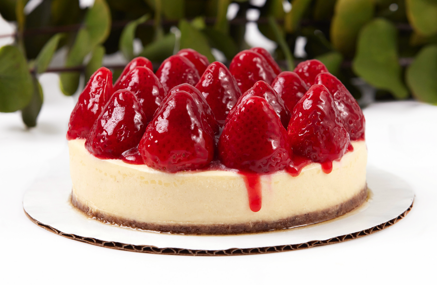 New York Cheesecake GDE